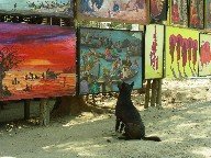The dog who loved the paintings
