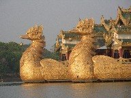 A detail of two golden swans