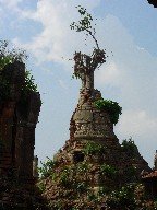 Napuštena pagoda na kojoj je izraslo drvo